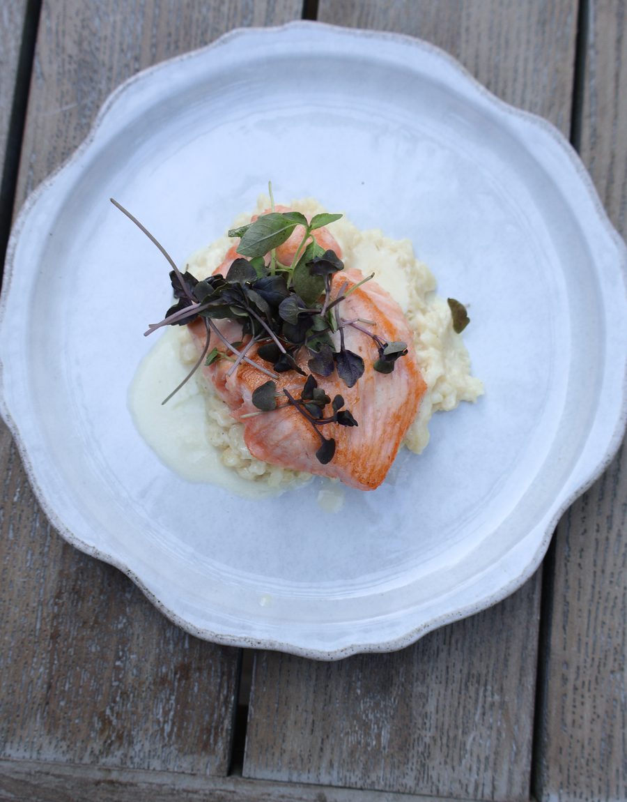 Pan-seared salmon over creamy risotto